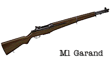 gun1.gif (3826 bytes)