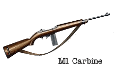 gun2.gif (6104 bytes)