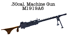 gun6.gif (3942 bytes)